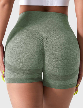 Shorts Pulsar